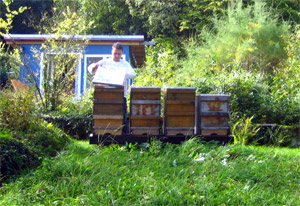 Rainer Seifert in Bonn am Bienenstand am Kreuzberg Rainer Seifert in Bonn am Bienenstand am Kreuzberg