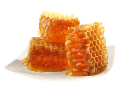 Honigwarben: Honig kaufen direkt beim Imker in Bonn